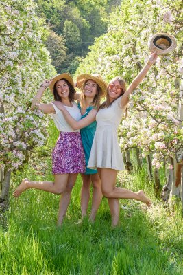 Apfelblüte