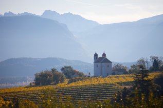 Gleif at Appiano