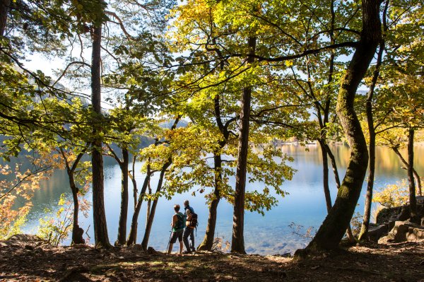 Lago di Monticolo