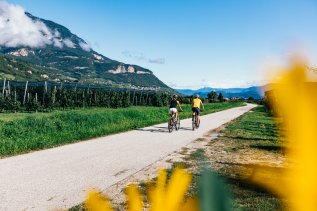 Pista ciclabile