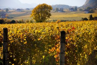 Autunno in Alto Adige