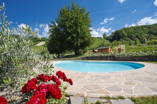 Pool and garden